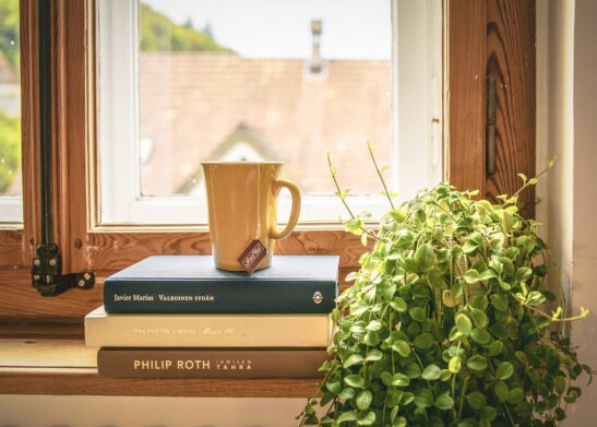 Kirjoja ikkunan edessä ja niiden päällä kahvikuppi. Vieressä vihreä kasvi.