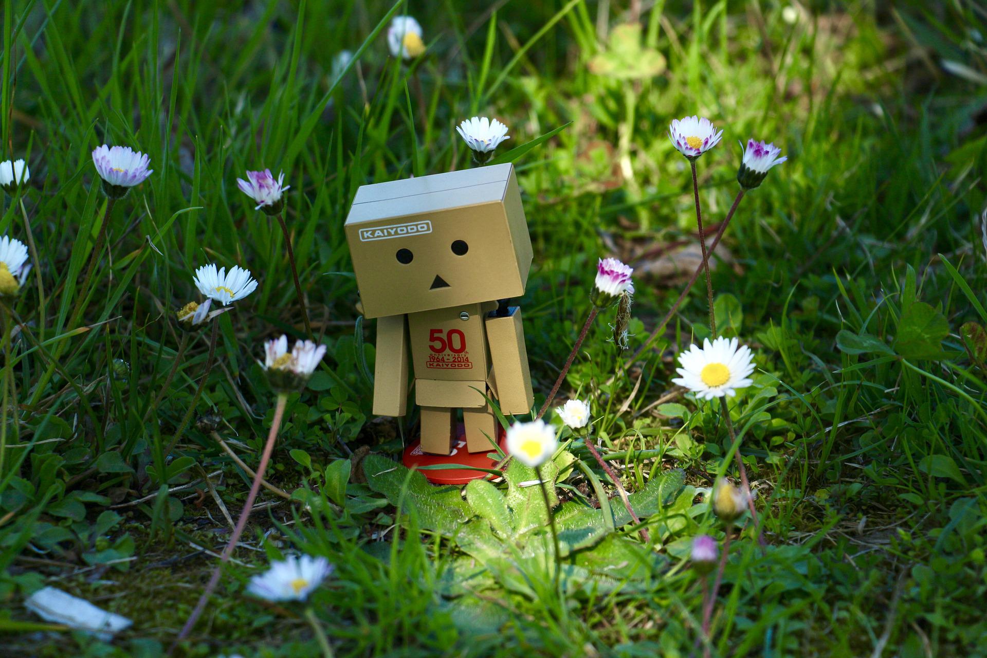 kuvassa pahvista tehty robotti mikä seisoo kukkakedolla ja näyttää hieman surulliselta