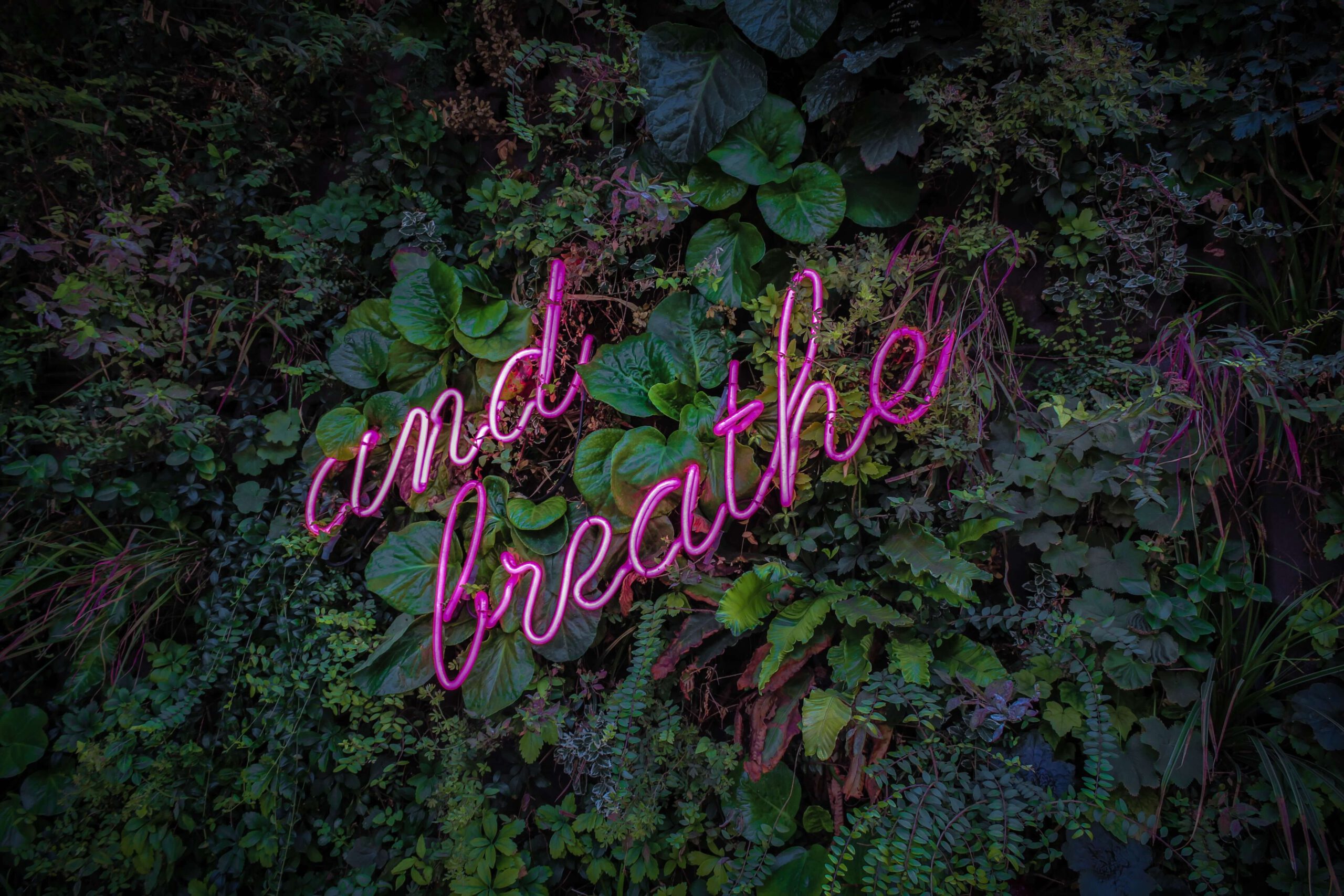 Kuvassa teksti "and breathe" kasvien keskellä.